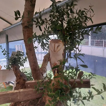 منزل للإقامة A Quinta Do Presidente