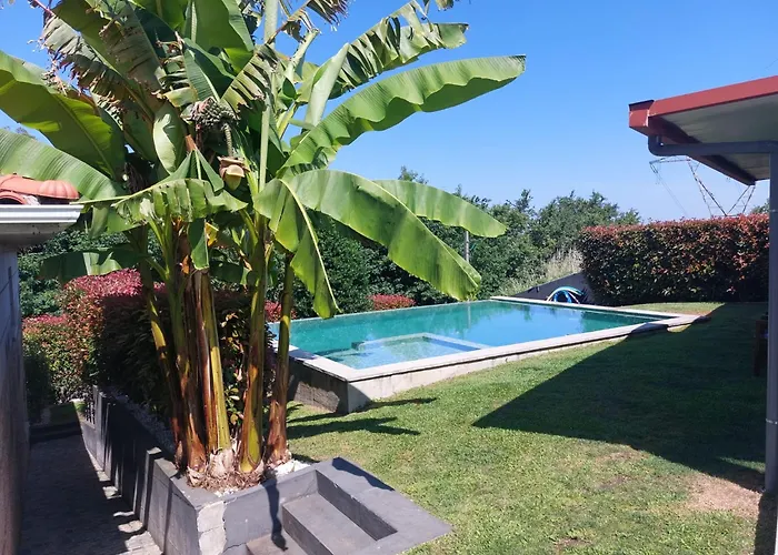 ホームステイ A Quinta Do Presidente サント・ティルソ