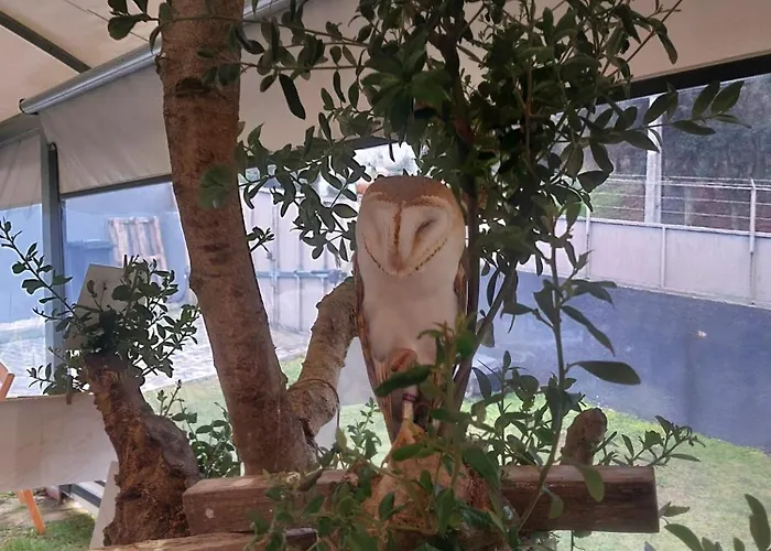 منزل للإقامة A Quinta Do Presidente